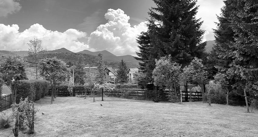 About Us | Nature's Edge Design + Build Landscapes